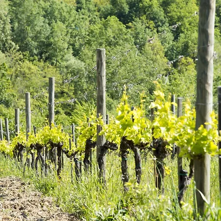 Κατάλυμα σε φάρμα Tuscan Relais Il Serraglio *